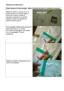 Relazione di laboratorio
