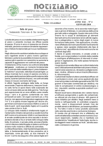 Gennaio