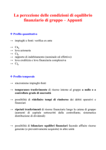 Doc. 13 - Appunti in tema di equilibrio finanziario di gruppo