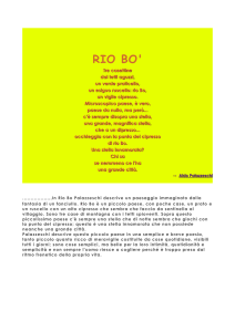 PERCHE_RIO_BO