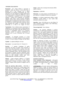 NOTIZIE UTILI EGITTO