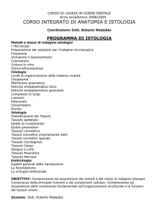 IgD 1a1s CI Anatomia Istologia Bandiera Madeddu 2008