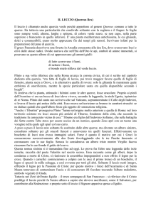 IL LECCIO (Quercus Ilex) Il leccio è chiamato