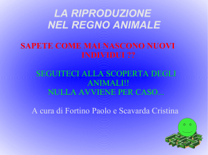 la riproduzione nel regno animale sapete come mai nascono nuovi