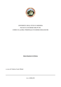 Esercizi di fisica - Università degli Studi di Messina