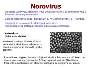 Diapositiva 1