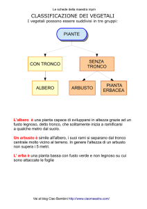 classificazione dei vegetali