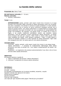 La banda della catena - Istituto Veneto di Scienze Lettere ed Arti