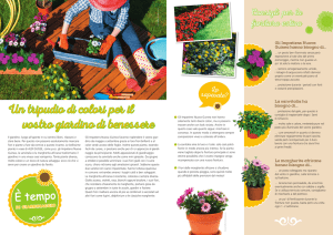Un tripudio di colori per il vostro giardino di