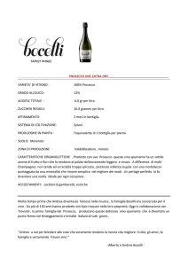 100% Prosecco GRADO ALCOLICO