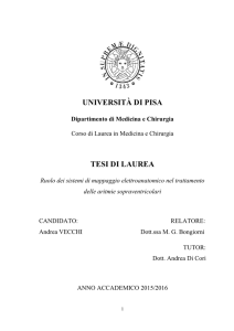 università di pisa tesi di laurea