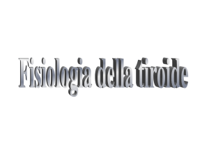 T3 - Corso di Laurea Triennale in Scienze Motorie Sport e Salute