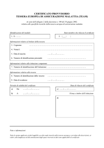 certificato provvisorio tessera europea di assicurazione malattia (team)