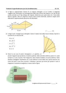 Problemi di approfondimento presi da ZonaMatematica