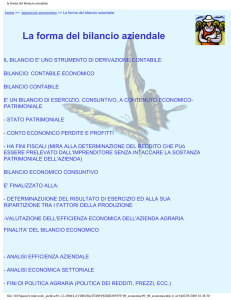 la forma del bilancio aziendale