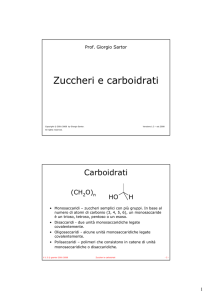 Zuccheri e carboidrati