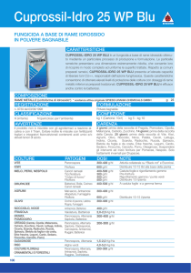 Cuprossil-Idro 25 WP Blu