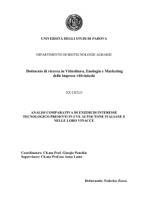 Dottorato di ricerca in Viticoltura, Enologia e Marketing delle