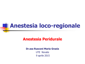 Richiami di anatomia