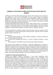 Indagine sui meccanismi di difesa da Flavescenza dorata della vite