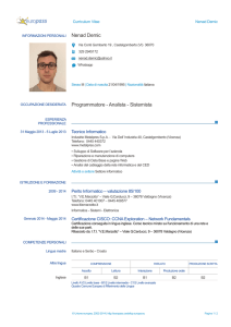 Europass CV - ITI "VE Marzotto"