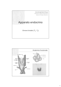 Gri 35) Endocrino 3 - Tiroide