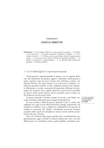 COS`È IL DIRITTO?