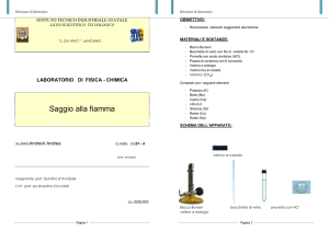 Andreoli saggio alla fiamma