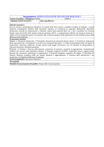 Insegnamento: MODELLIZZAZIONE DEI SISTEMI BIOLOGICI