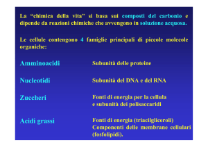 3 amminoacidi e peptidi