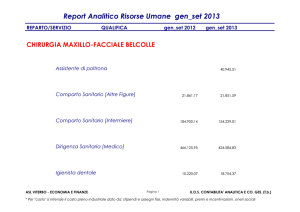 Report Analitico Risorse Umane gen_set 2013