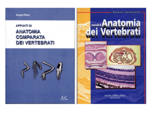 Lezione 1 - Macroarea di Scienze