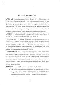 GLOSSARIO IMMUNOLOGICO ANTICORPI = sono molecole