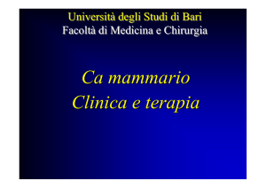 Presentazione di PowerPoint