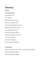 Telemaco
