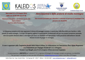 Flora boschiva e delle praterie di media montagna