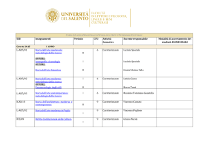 Piano di studi del corso di laurea in Storia dell`Arte