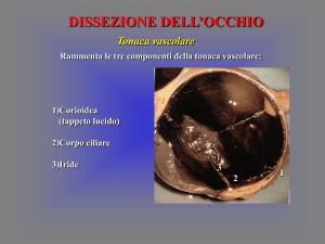 Presentazione di PowerPoint - Progetto e