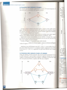 La formazione del! eno Il paramag La formazione delle molecole di