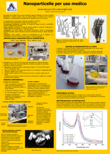 Diapositiva 1 - Scuola di Scienze Matematiche, Fisiche e Naturali