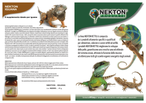 NEKTON IGUANA La linea NEKTON RETTILI è composta da 5