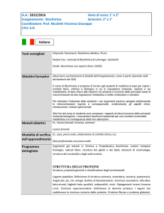BIOCHIMICA - Canale C - Prof. V. Nicoletti