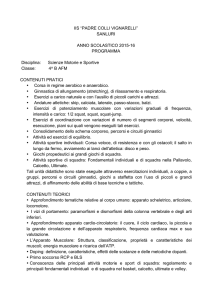 SCIENZE MOTORIE 4^ B AFM