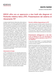 IDEXX offre ora un approccio a due livelli alla diagnosi di
