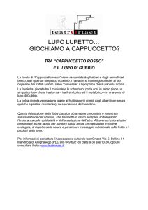 scheda spettacolo
