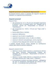 Requisiti personali e professionali degli steward