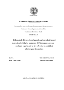 Fondata nel 1562 - Università degli Studi di Sassari
