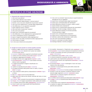 verifica di fine sezione - Zanichelli online per la scuola