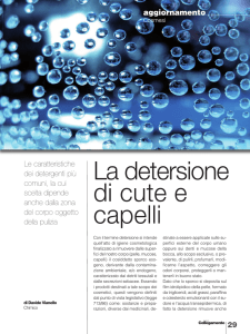 Articolo Completo (Formato PDF)
