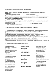 Completa il testo utilizzando i termini dati